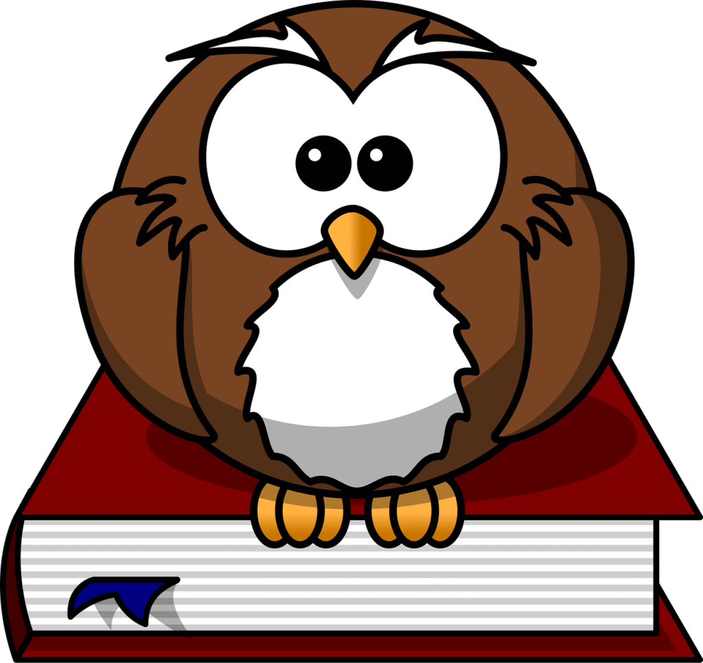 owl 47526 1280